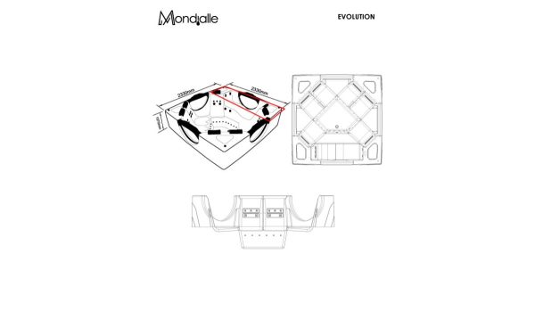 Evolution - Image 4