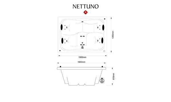Nettuno - Image 2
